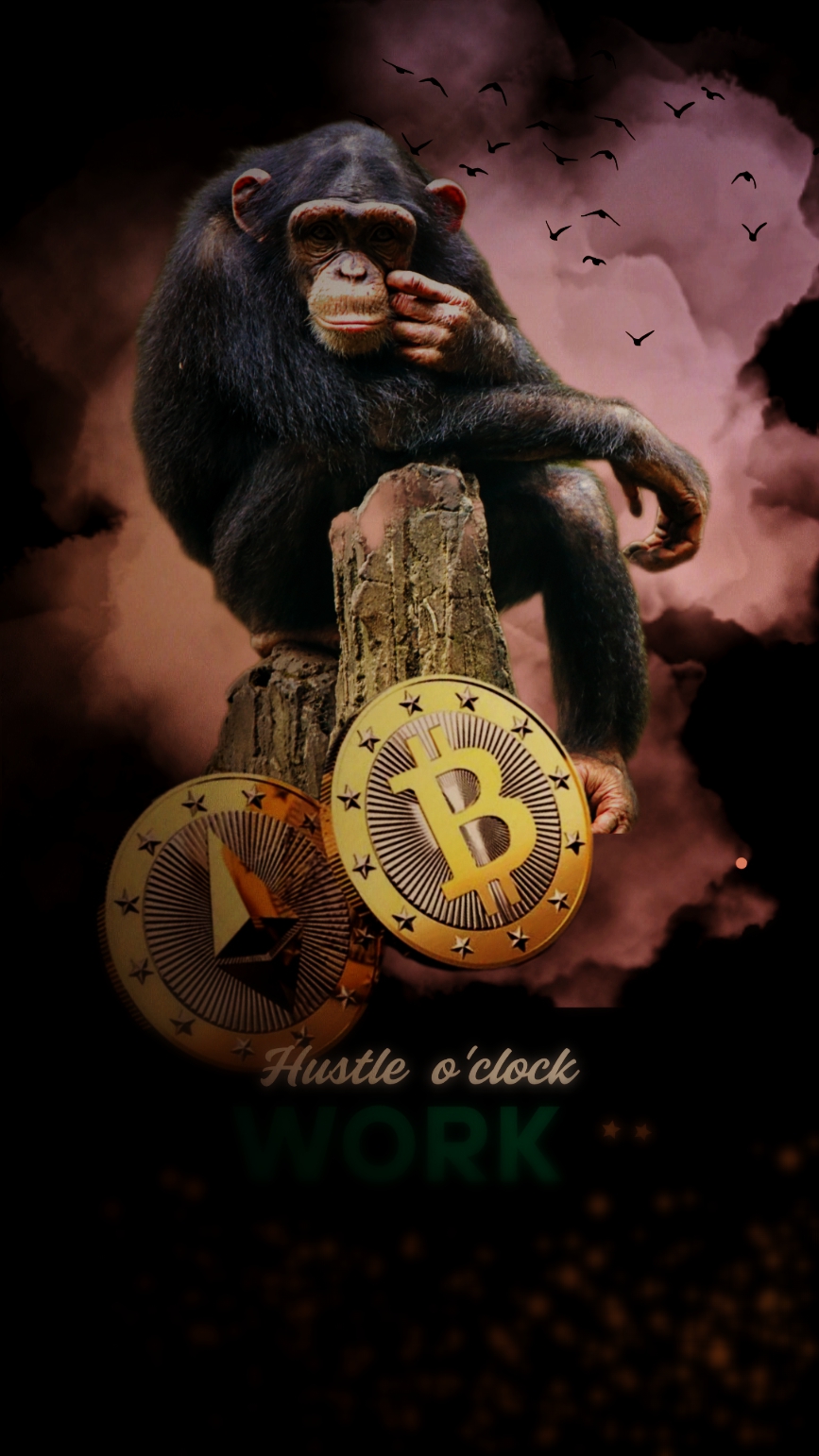 BTC Monkey